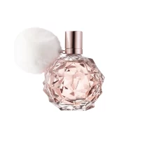 Ari EDP