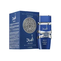 Alternative view of Asad Zanzibar EDP