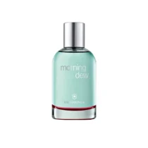 SWISS ARMY TESTER MORNING DEW EDT 100ML (W)